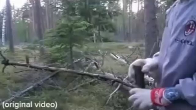 Снежный Человек в Лесах России