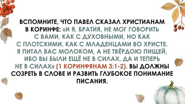 Молоко, мясо и твёрдая пища