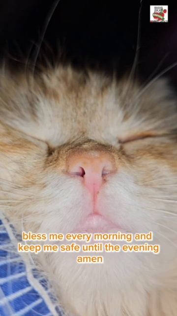 Благослови каждое утро и храни до самого вечера 😇🌈💓🙏😽 Bless me every morning and keep me safe u
