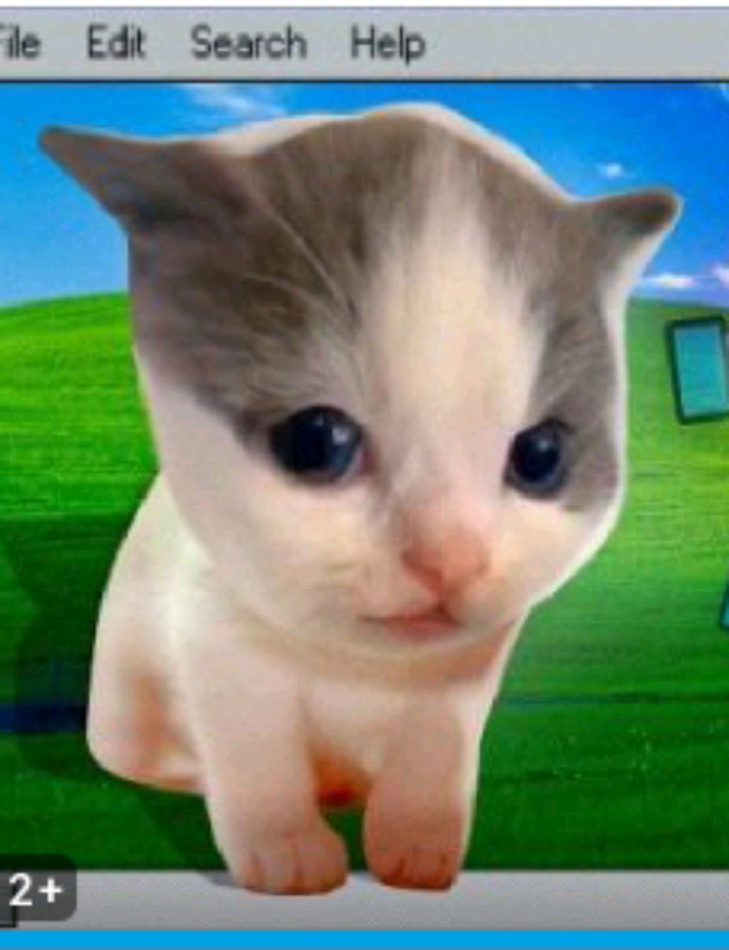 стендофер
