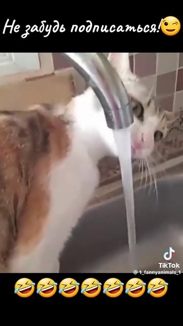 1000098657.mp4