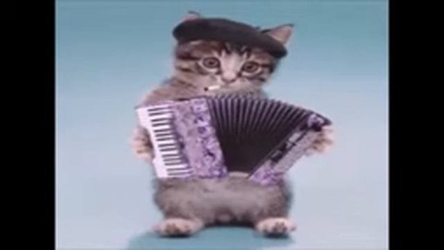 80 мама, а я шофера люблю    блатная юморная