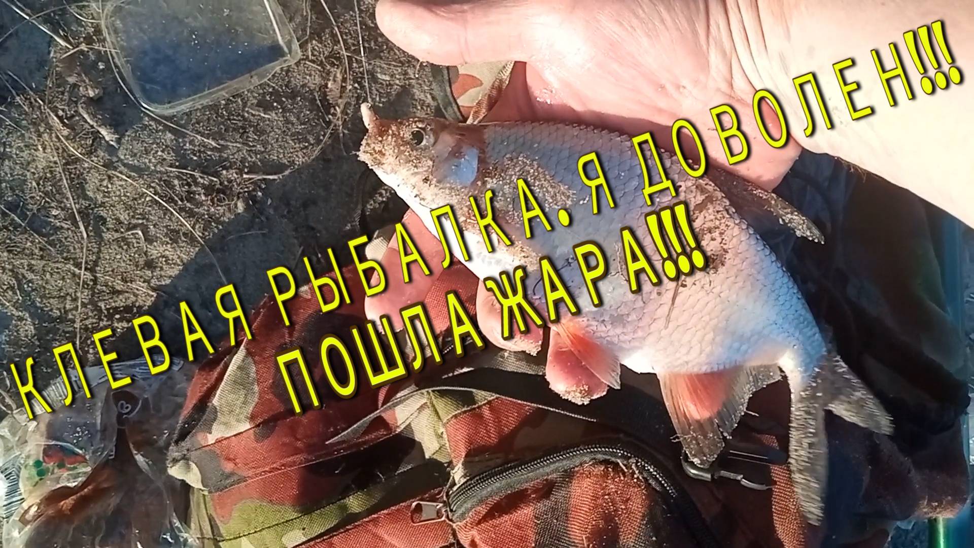 Наловил разной рыбы и даже голавля!!! Хорошо порыбачил