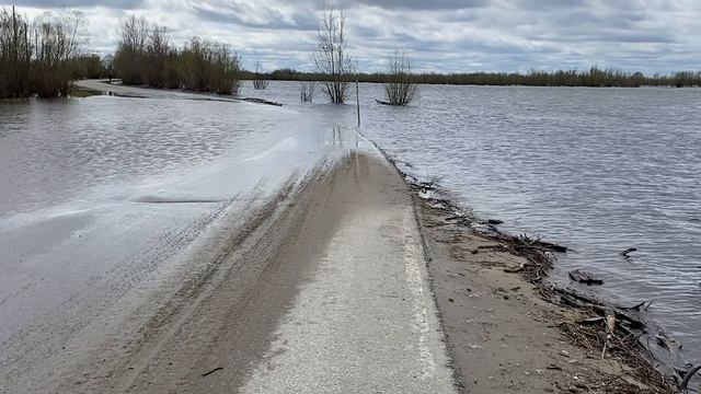 Река Обь разливается, набережная, Старый Вартовск, май 2025 года