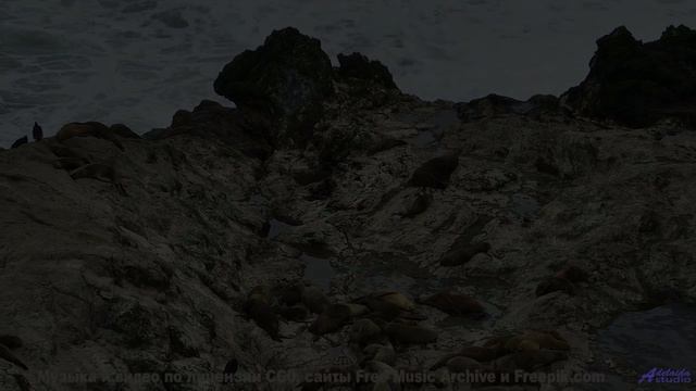 Песня, которая звучит громче, когда вы теряетесь вместе - Deny -- Double-F the King -- Discovery
