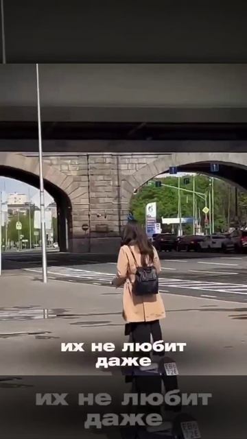 «Их не любит даже собственная мать»: москвич разбогател на жалобах на самокатчиков