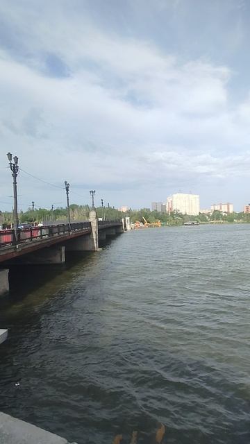 Мост по Ильича