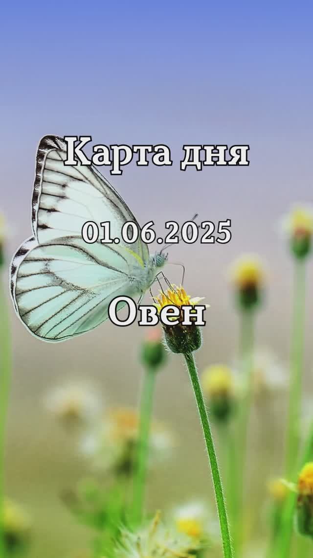 ✨Карта дня 01.06.2025✨ Овен
