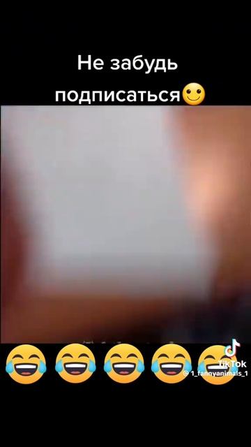 1000098711.mp4