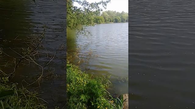 поисковый магнит очередные находки в парке Измайлово.mp4