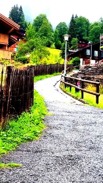 Камера поймала реальность