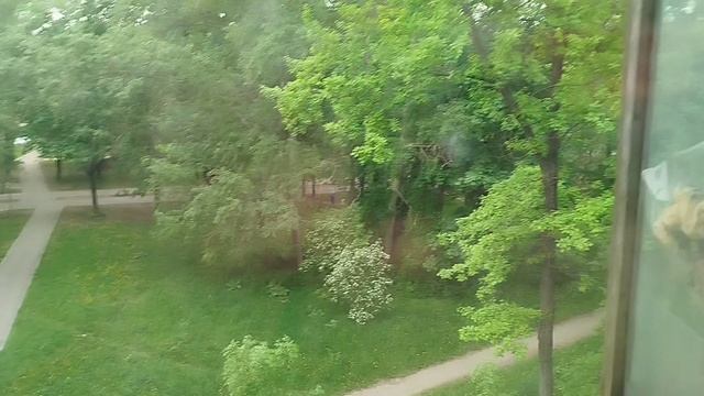 VID_20250528