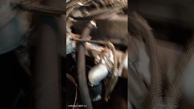 1000008585.mp4