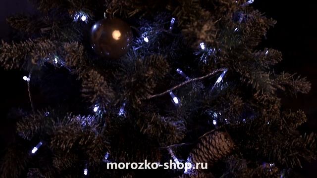 Светодиодная гирлянда для дома 100 холодных белых LED ламп 5 м, прозрачный ПВХ, IP20  ILD100C-TW