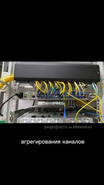 Коммутатор доступа MES2324FB Eltex. Видео[Охота] на eltexcm.ru