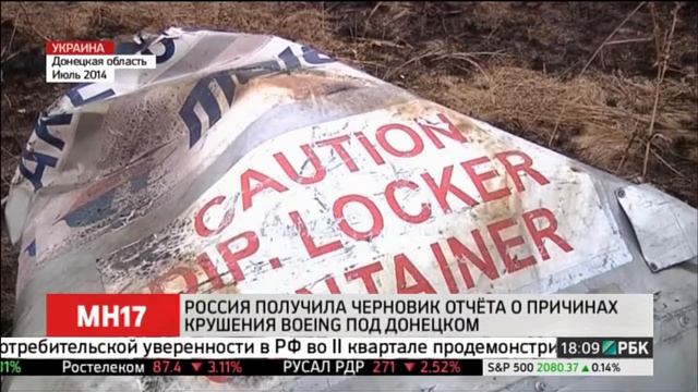 Росавиация раскритиковала доклад Нидерландов по сбит