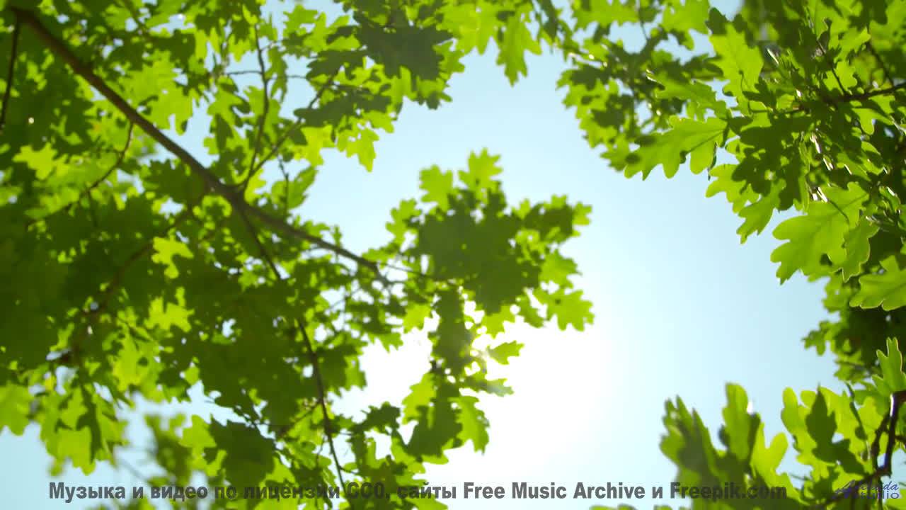 Закат, море и мелодия, от которой тает сердце! - Watching the Stars -- Independent Music Licensing C
