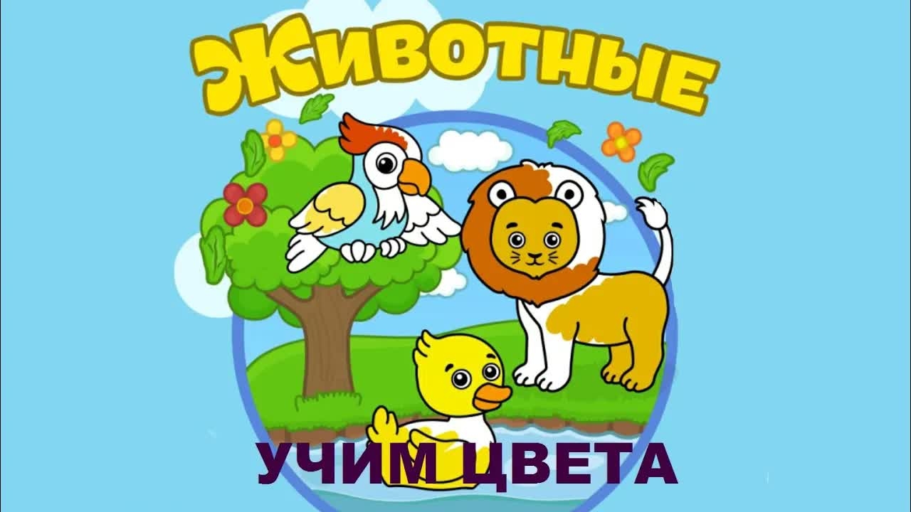 Видео для малышей. Изучаем животных и цвета.
