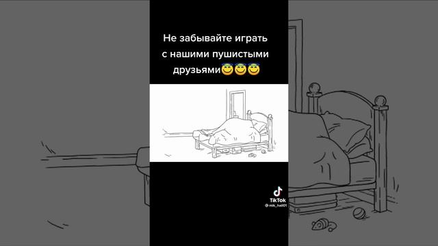 1000098706.mp4