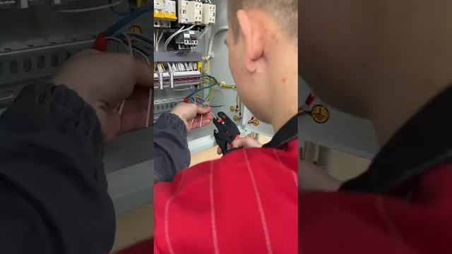 VID-20250507-WA0005
