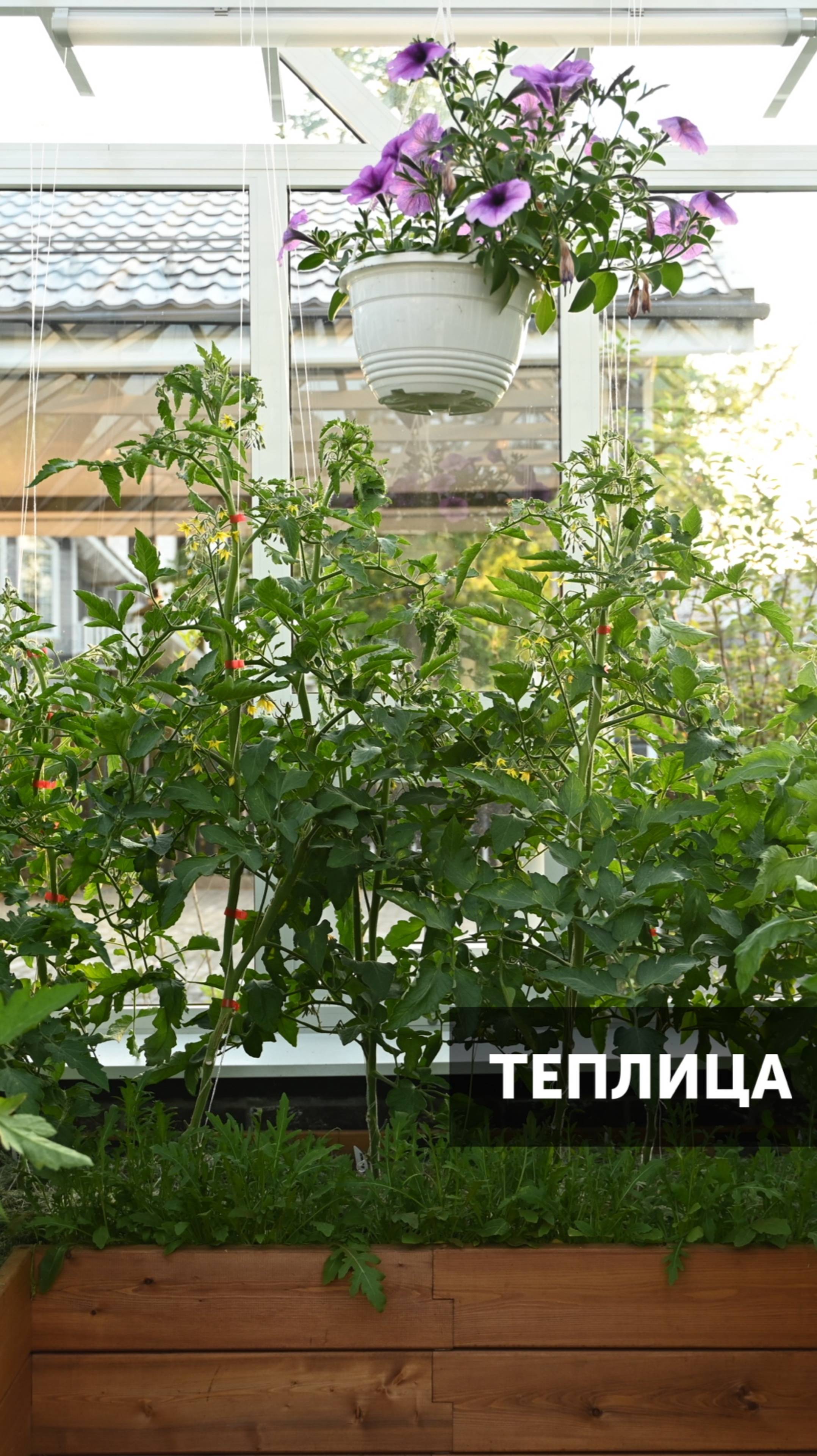 Как вам теплица? #ландшафт #ландшафтныйдизайн #сад #благоустройство #теплица #загороднаяжизнь