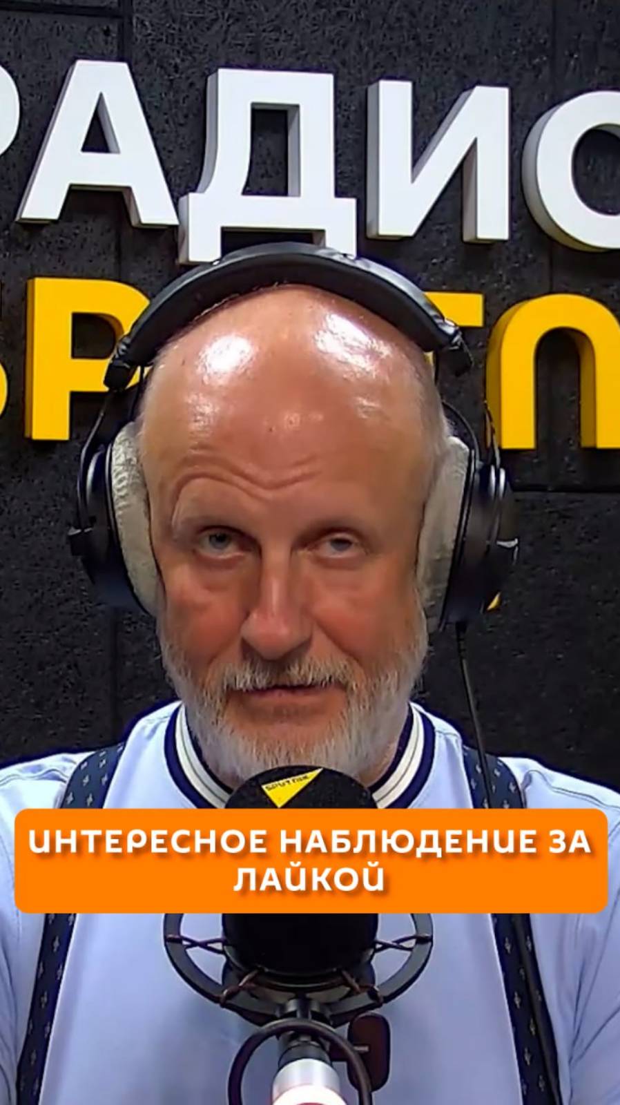 Интересное наблюдение за лайкой
