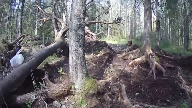 Новости Кирова 28.05.2025