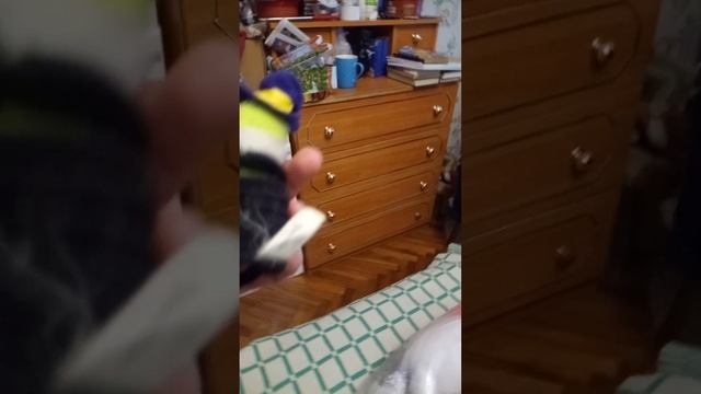 Мягкие детские игрушки .Объявление на продажу.