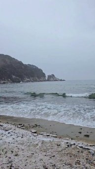 Полуостров Гамова, Приморский край