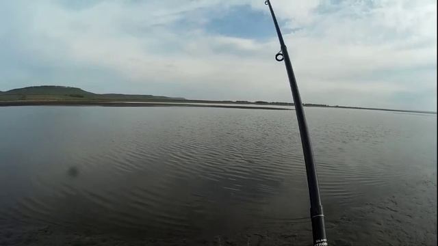 На карася.