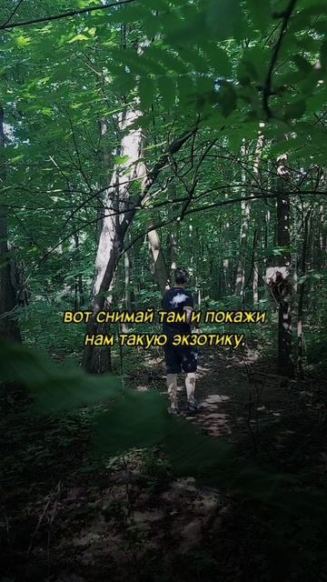 Свидетельства Перми