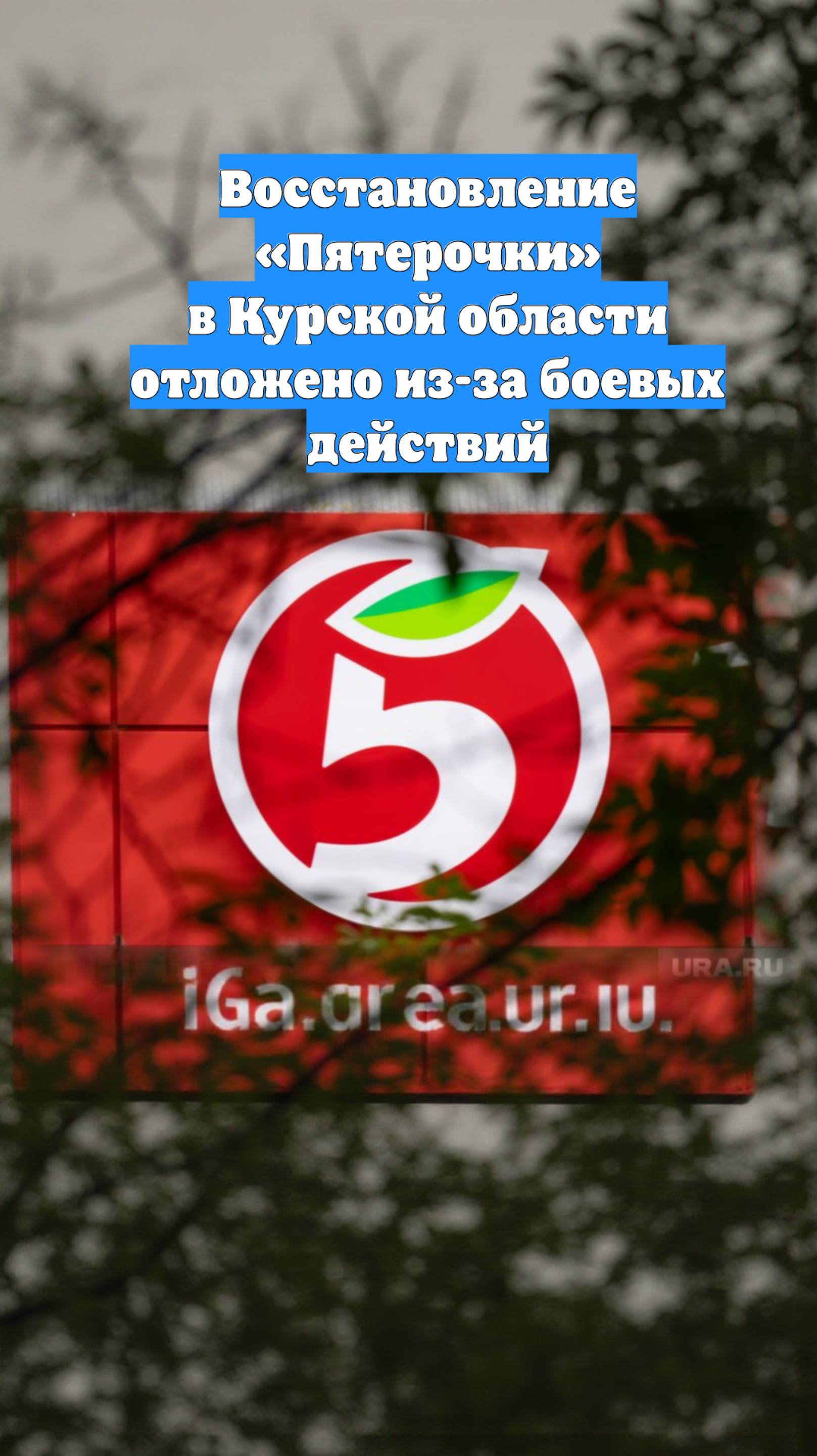 Восстановление «Пятерочки» в Курской области отложено из-за боевых действий