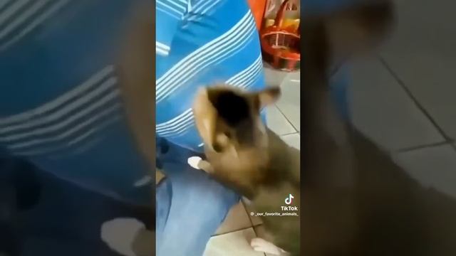 1000098698.mp4