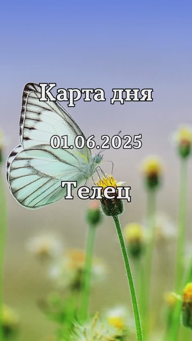 ✨Карта дня 01.06.2025✨ Телец