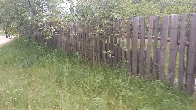 Фея просто гуляет по дорожке