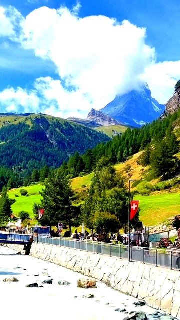 Камера зафиксировала