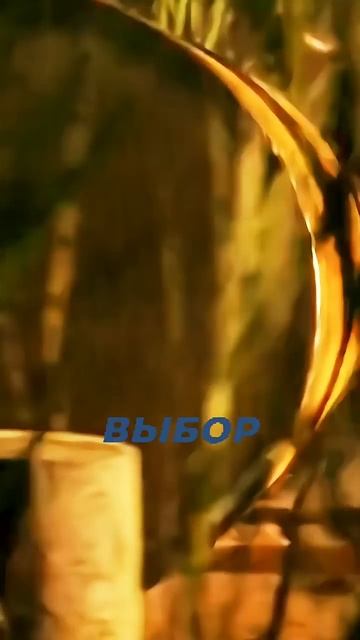 Один выбор меняет все #movie #фильм #кино #сериал #tital