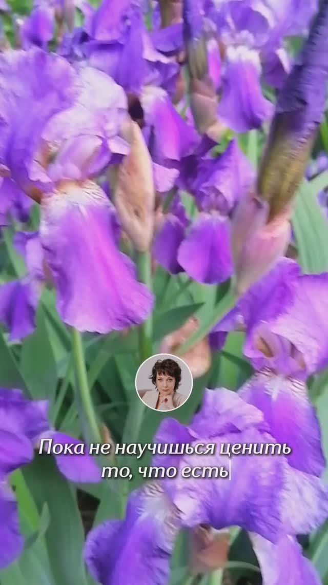 Он ежедневно радует нас яркими красками!