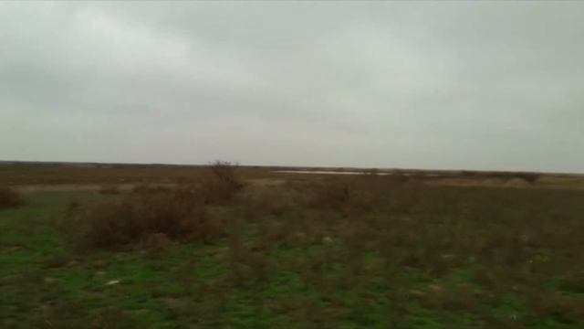 Охота на утку, гуся. Новые места.