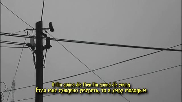 PARIS SHADOWS - STRESSED НА РУССКОМ (ПЕРЕВОД, RUS SUBS) + LYRICS