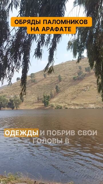Обряды паломников на Арафате