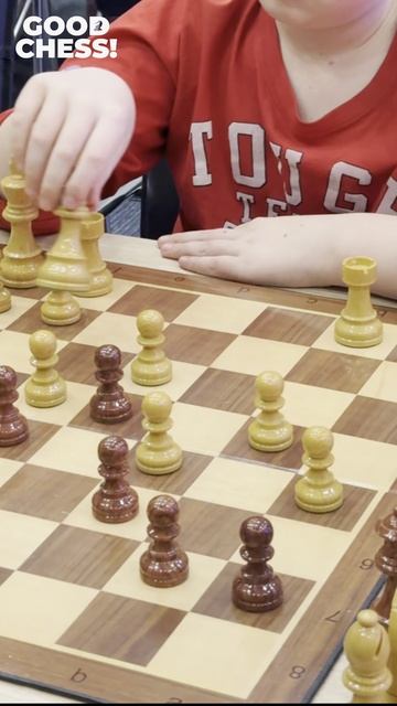 GOOD CHESS! Исторический парк "Россия - моя история". Шахматы и культура
https://t.me/mvr_series