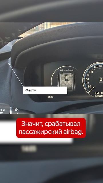 Дикая кошка