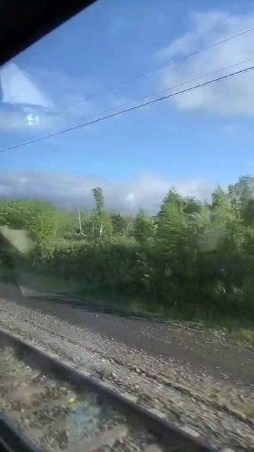 1000063636.mp4