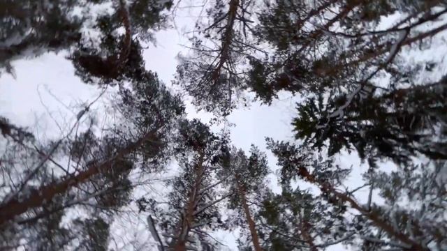 Russian Winter