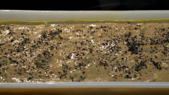 Кекс с семенами и орехами