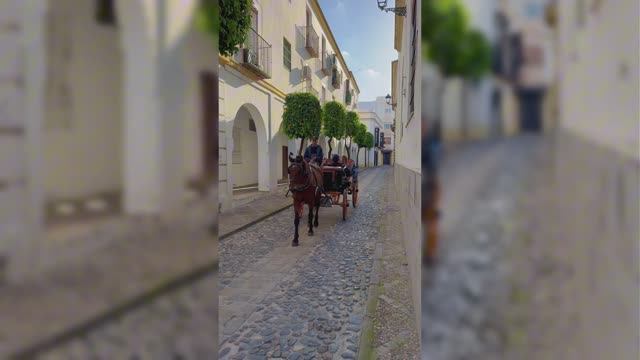 Херес, Испания (город, а не вино)
