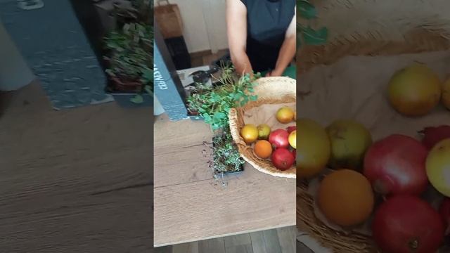 Вкуснее смузи я не пила . Подарок от Вселенной.