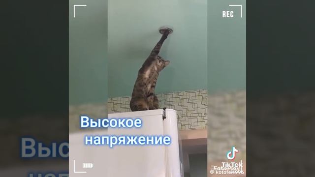 1000098690.mp4