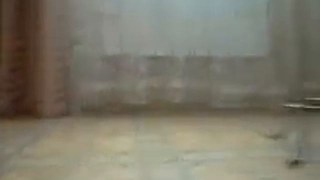 Монстар гонка